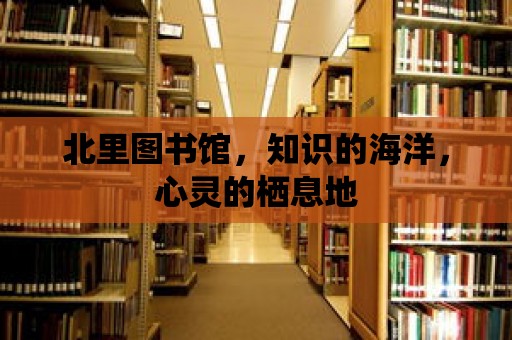 北里圖書館，知識的海洋，心靈的棲息地