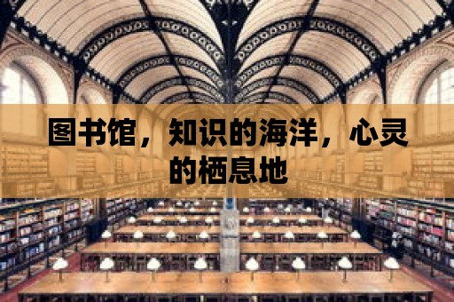 圖書館，知識(shí)的海洋，心靈的棲息地