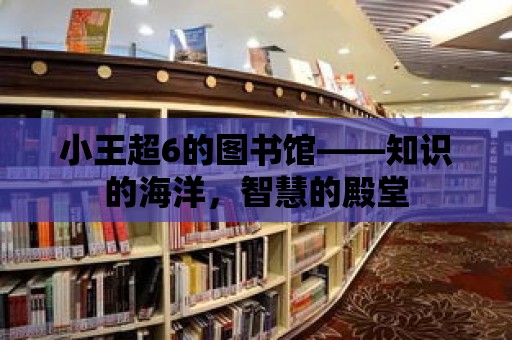 小王超6的圖書館——知識的海洋，智慧的殿堂