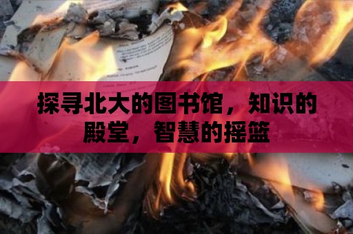 探尋北大的圖書館，知識的殿堂，智慧的搖籃