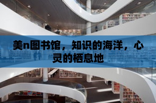 美n圖書館，知識的海洋，心靈的棲息地