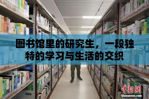 圖書館里的研究生，一段獨特的學習與生活的交織