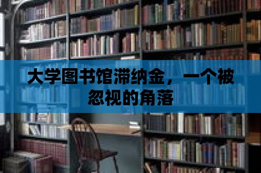 大學(xué)圖書館滯納金，一個被忽視的角落