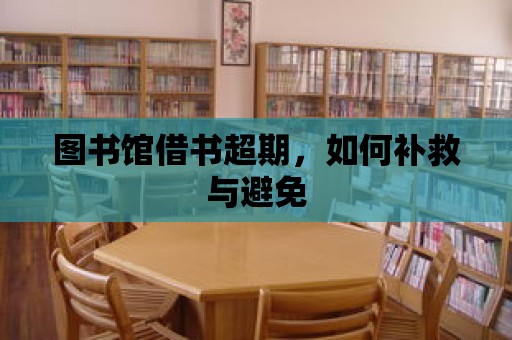 圖書館借書超期，如何補救與避免