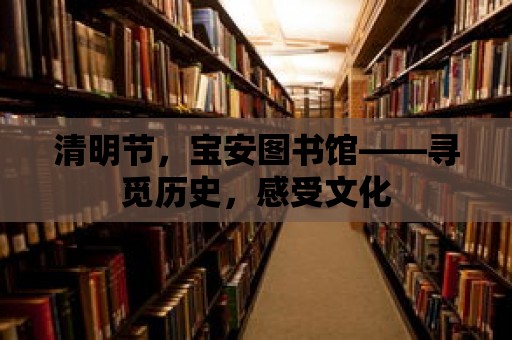 清明節，寶安圖書館——尋覓歷史，感受文化