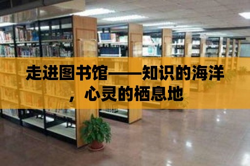 走進圖書館——知識的海洋，心靈的棲息地