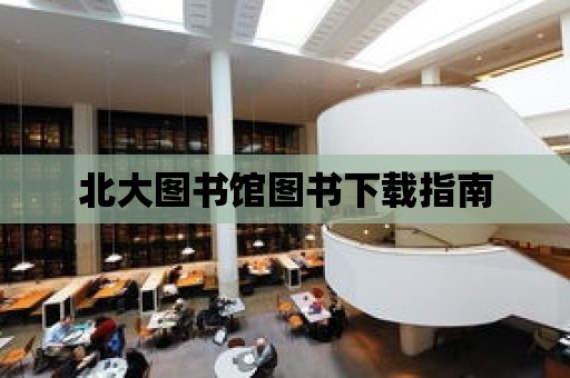 北大圖書館圖書下載指南