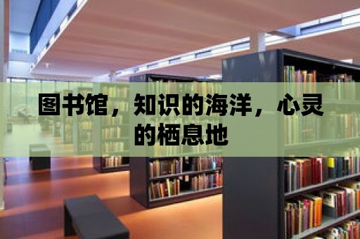 圖書館，知識(shí)的海洋，心靈的棲息地