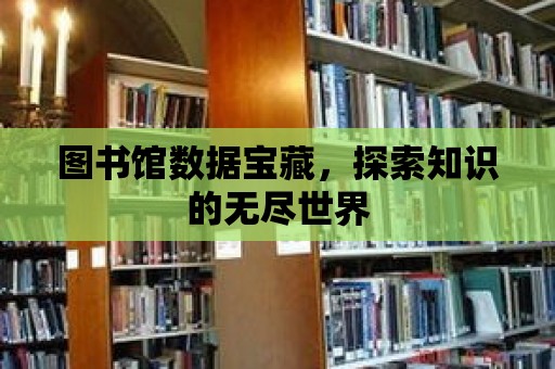 圖書館數據寶藏，探索知識的無盡世界