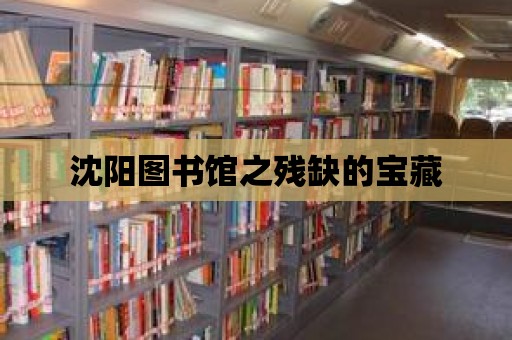 沈陽圖書館之殘缺的寶藏