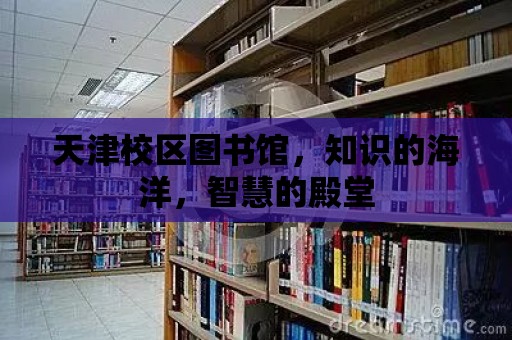 天津校區圖書館，知識的海洋，智慧的殿堂