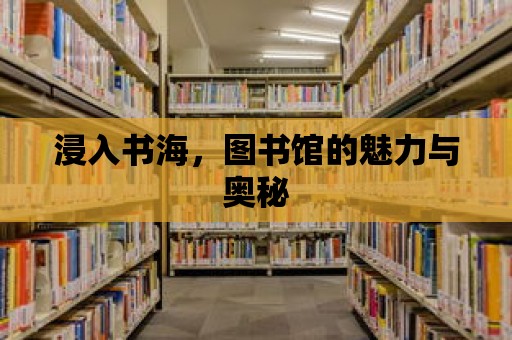 浸入書海，圖書館的魅力與奧秘