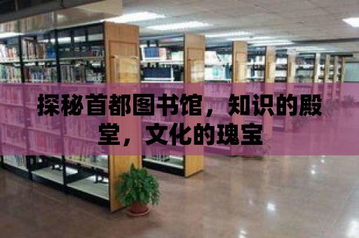 探秘首都圖書館，知識(shí)的殿堂，文化的瑰寶