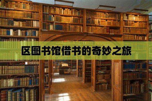 區圖書館借書的奇妙之旅