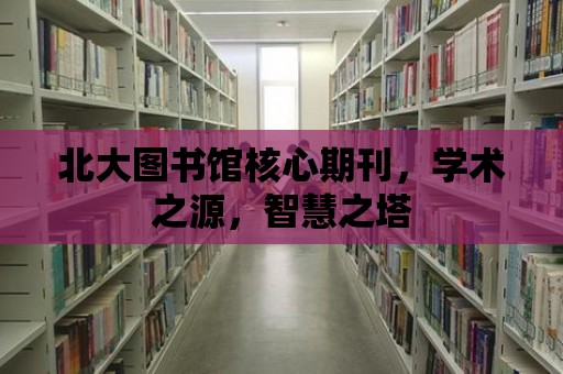 北大圖書館核心期刊，學術之源，智慧之塔