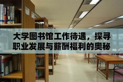 大學圖書館工作待遇，探尋職業發展與薪酬福利的奧秘