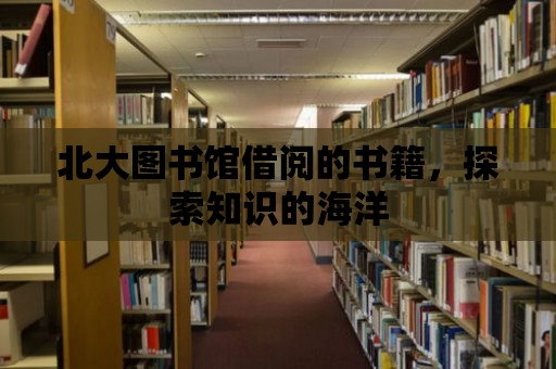 北大圖書館借閱的書籍，探索知識的海洋