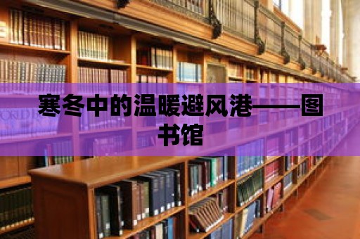 寒冬中的溫暖避風港——圖書館