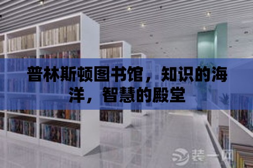 普林斯頓圖書館，知識的海洋，智慧的殿堂