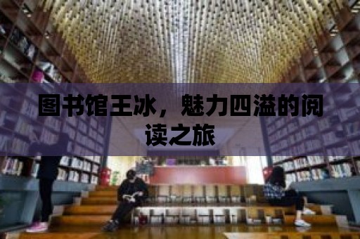 圖書館王冰，魅力四溢的閱讀之旅