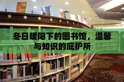 冬日暖陽下的圖書館，溫馨與知識的庇護所