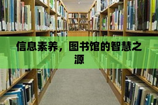 信息素養(yǎng)，圖書館的智慧之源