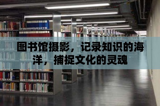 圖書館攝影，記錄知識的海洋，捕捉文化的靈魂