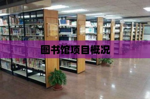 圖書館項目概況