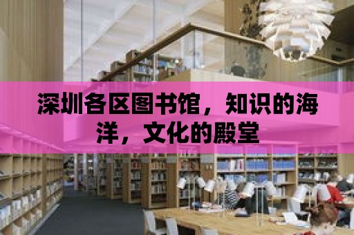 深圳各區圖書館，知識的海洋，文化的殿堂