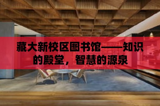 藏大新校區圖書館——知識的殿堂，智慧的源泉