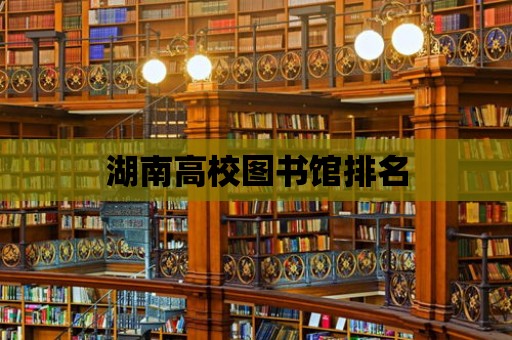 湖南高校圖書館排名