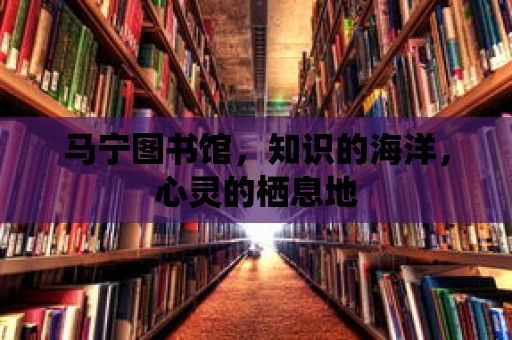 馬寧圖書館，知識的海洋，心靈的棲息地