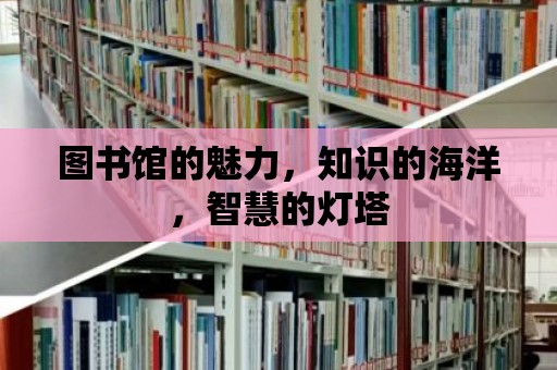 圖書館的魅力，知識的海洋，智慧的燈塔