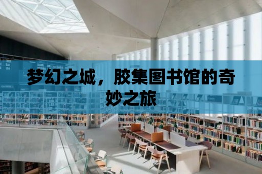 夢幻之城，膠集圖書館的奇妙之旅