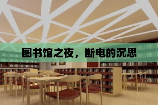 圖書館之夜，斷電的沉思