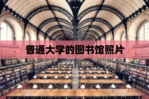 普通大學的圖書館照片