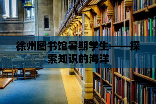 徐州圖書館暑期學生——探索知識的海洋