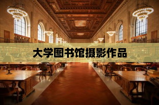 大學(xué)圖書館攝影作品