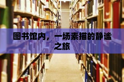 圖書館內(nèi)，一場素描的靜謐之旅