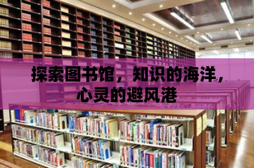 探索圖書館，知識(shí)的海洋，心靈的避風(fēng)港