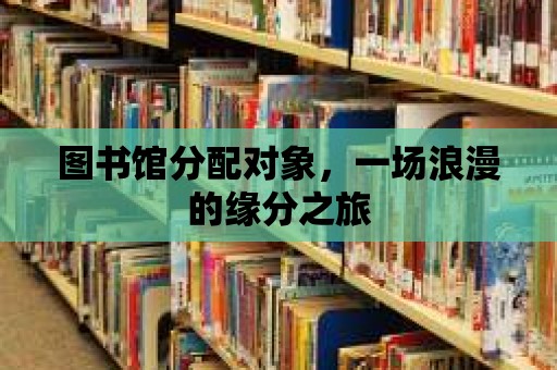 圖書館分配對象，一場浪漫的緣分之旅