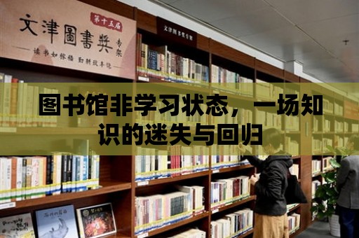 圖書館非學習狀態，一場知識的迷失與回歸