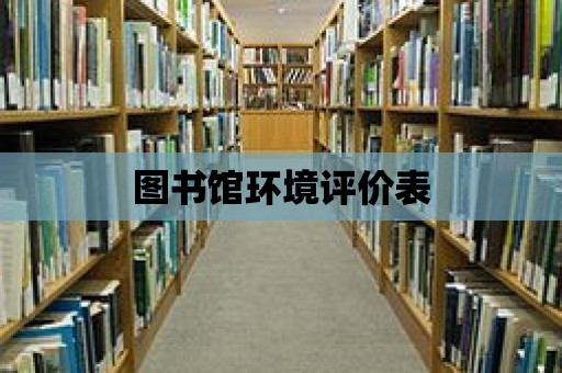 圖書館環(huán)境評價表