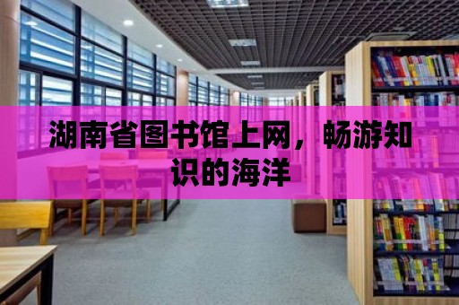 湖南省圖書館上網，暢游知識的海洋