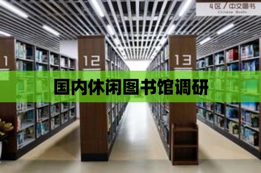 國內休閑圖書館調研