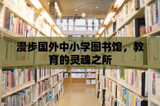 漫步國外中小學圖書館，教育的靈魂之所