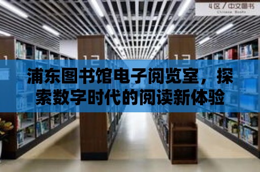 浦東圖書館電子閱覽室，探索數字時代的閱讀新體驗