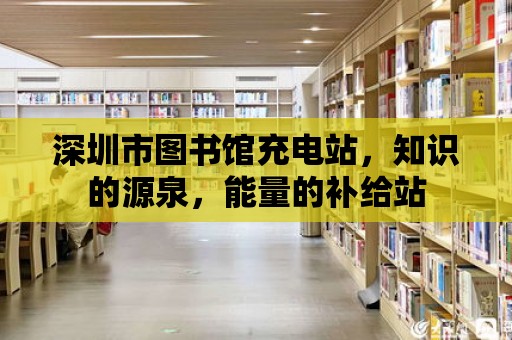 深圳市圖書館充電站，知識的源泉，能量的補給站