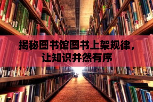 揭秘圖書館圖書上架規律，讓知識井然有序