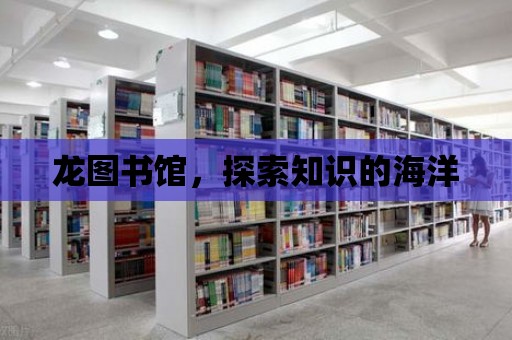 龍圖書館，探索知識的海洋